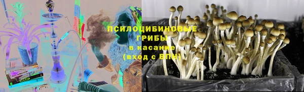 амф Алексин