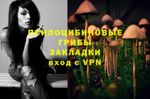 каннабис Алексеевка