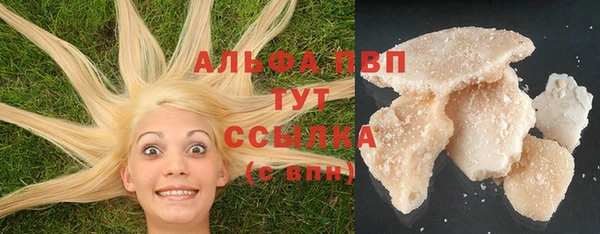 амф Алексин