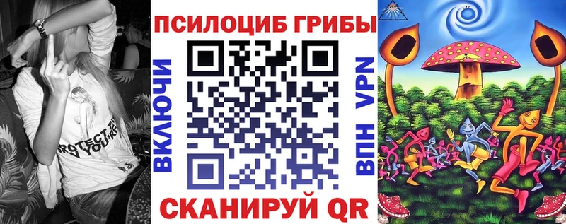 omg Владивосток Псилоцибиновые грибы мицелий