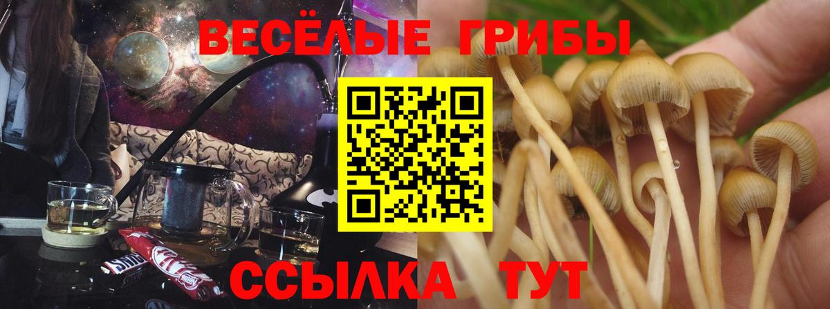 Галлюциногенные грибы MAGIC MUSHROOMS  Вход с VPN  Псилоцибиновые грибы MAGIC MUSHROOMS  Владивосток 