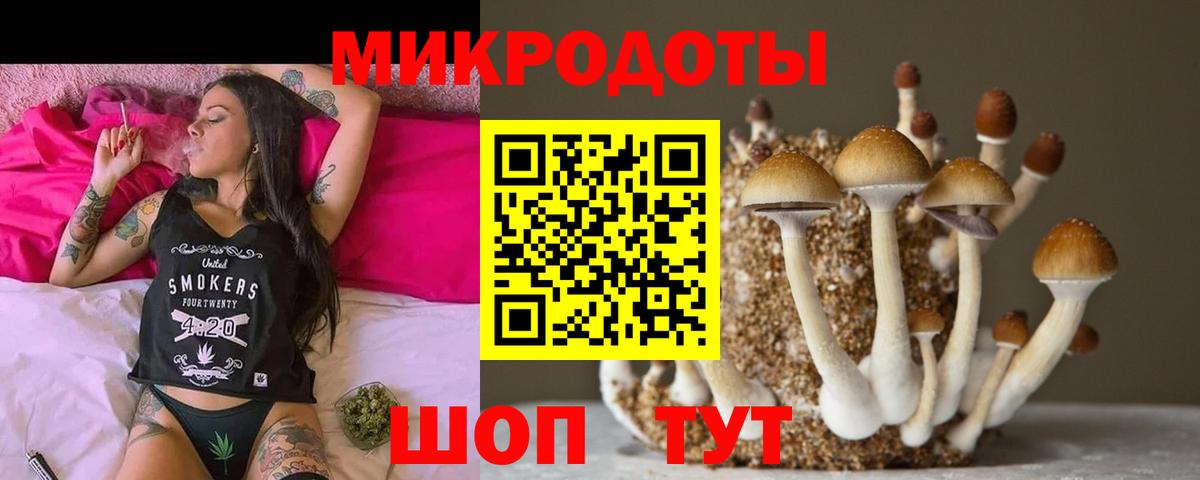 Галлюциногенные грибы Cubensis Владивосток