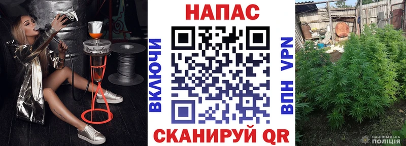 Бошки Шишки марихуана мега ССЫЛКА Владивосток